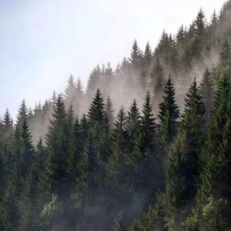 Туркомплекс Едельвейс *